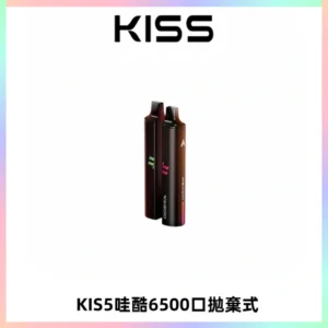 KIS5WAGOO哇酷6500口拋棄式 | 自由混搭雙口味 | 雙芯組合