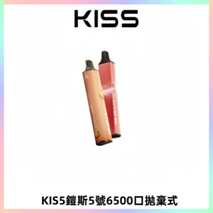 KIS5鎧斯5號一次性6500口磁吸式拋棄式電子煙#自由混搭#